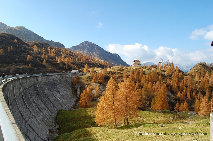 27 Larici in prossimità della diga.JPG